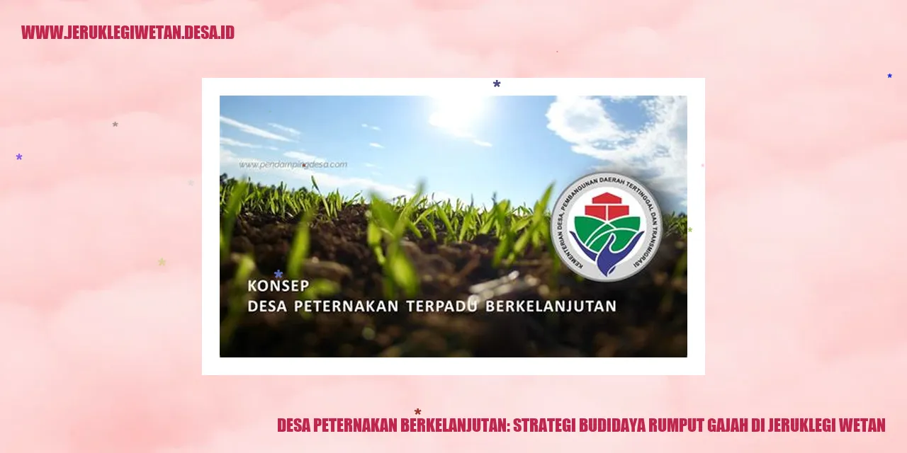 Desa Peternakan Berkelanjutan: Strategi Budidaya Rumput Gajah di Jeruklegi Wetan