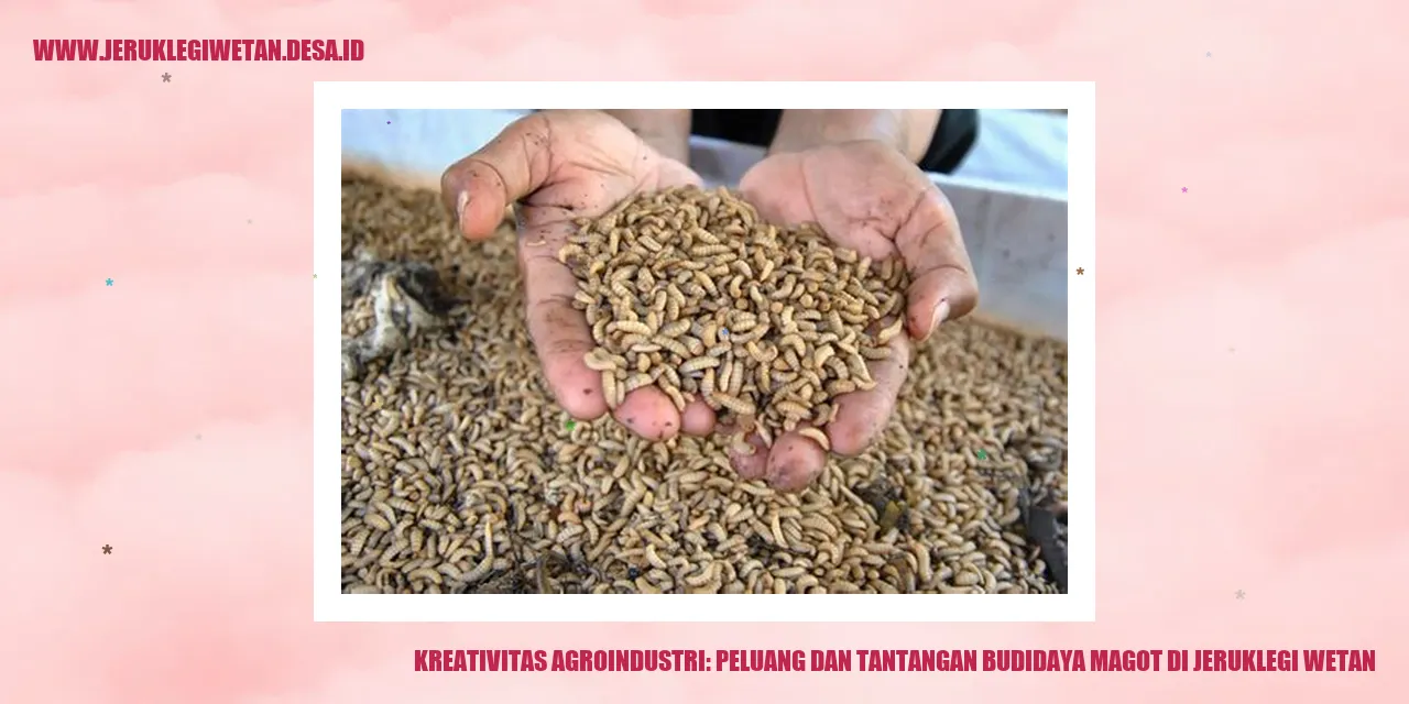 Kreativitas Agroindustri: Peluang dan Tantangan Budidaya Magot di Jeruklegi Wetan