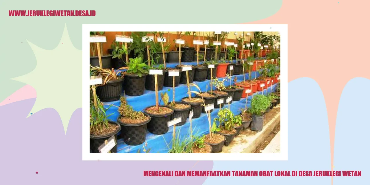 Pemanfaatan Tanaman Obat Desa Jeruklegi Wetan