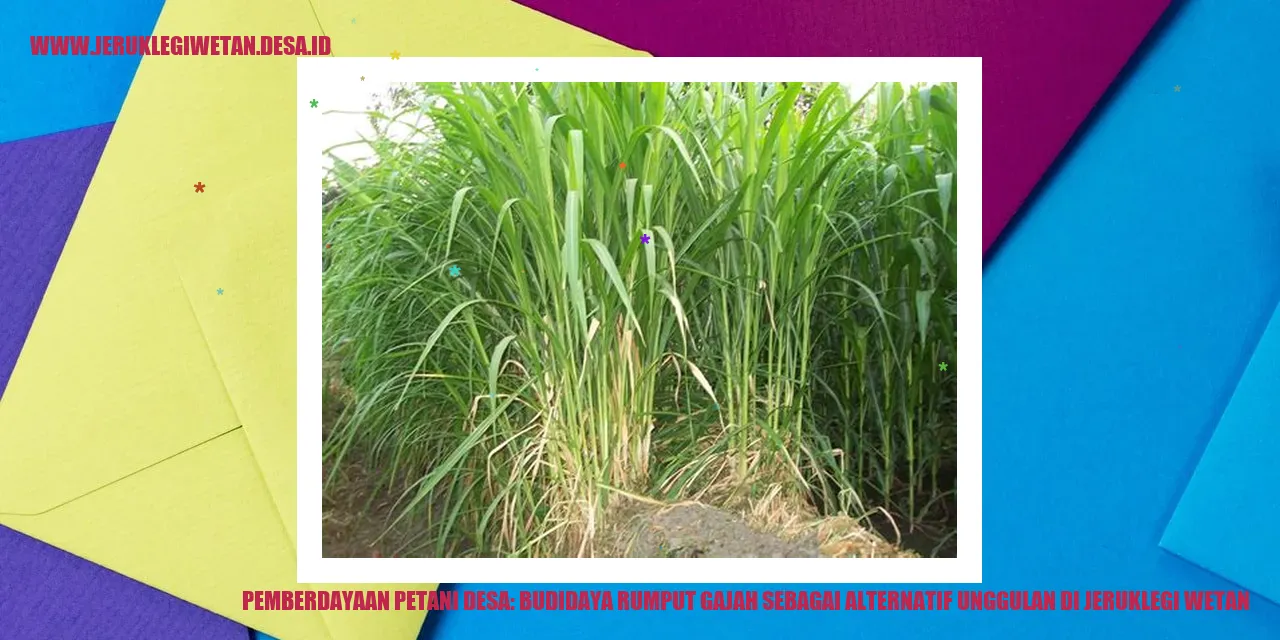 Pemberdayaan Petani Desa: Budidaya Rumput Gajah sebagai Alternatif Unggulan di Jeruklegi Wetan