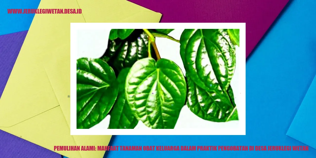 Pengobatan Herbal di Desa Jeruklegi