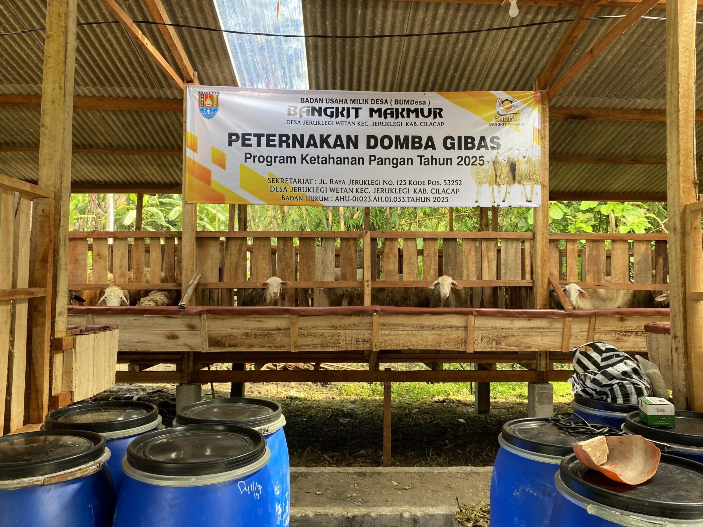 Realisasi Program Ketahanan Pangan Desa, Pembangunan Kandang Domba Gibas BUMDes Bangkit Makmur Resmi Rampung